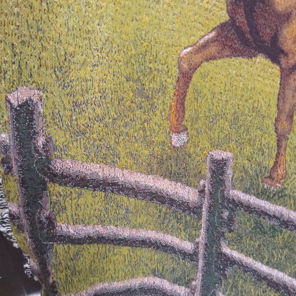 Vintage Mare Equine Horse Galloping Tapestry Throw Blanket 57"x 50 Wall Decor - Picture 4 of 7